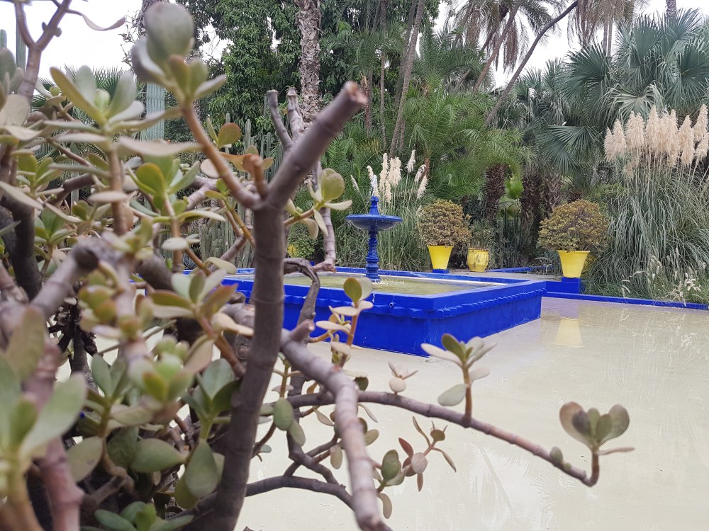 Jardin Majorelle